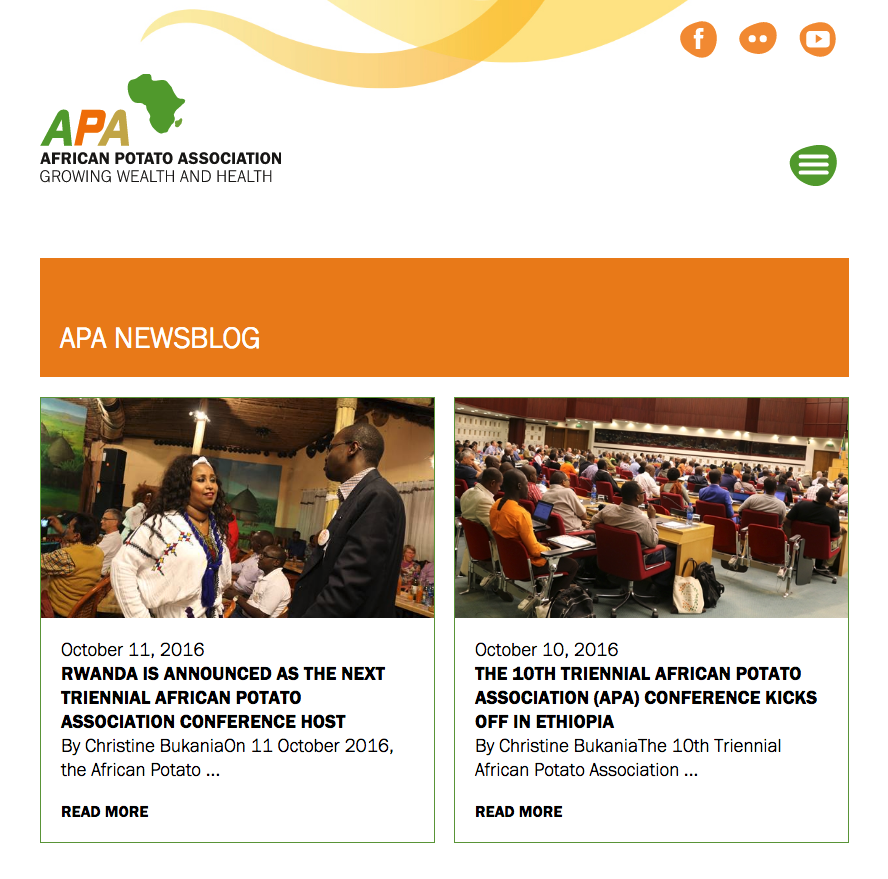 Website Mockup für den Newsblog der African Potato Organisation von ONEWORX 3